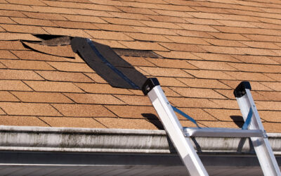 Blog 2 Everstone Construction: Expert Roof Repair Services in Guildford