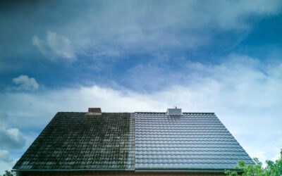 Blog 10 Everstone Construction: Expert Roof Cleaning Services in Guildford