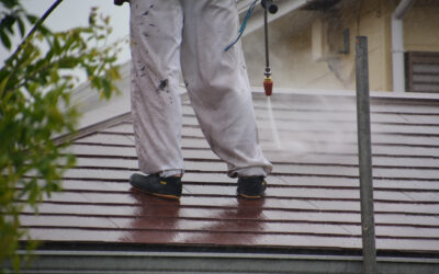 Blog 3 Professional Roof Cleaning Services in Woking by Everstone Construction